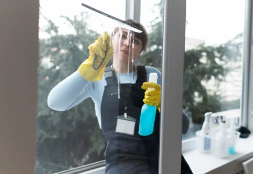 Nettoyage de vitres intérieures et extérieures à Palleville